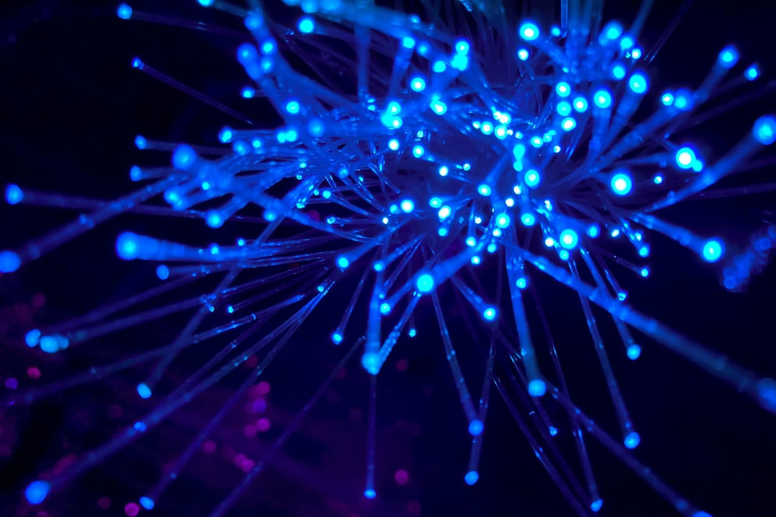 Purple and blue fibre-optic light pattern representing interoperability and data flow.