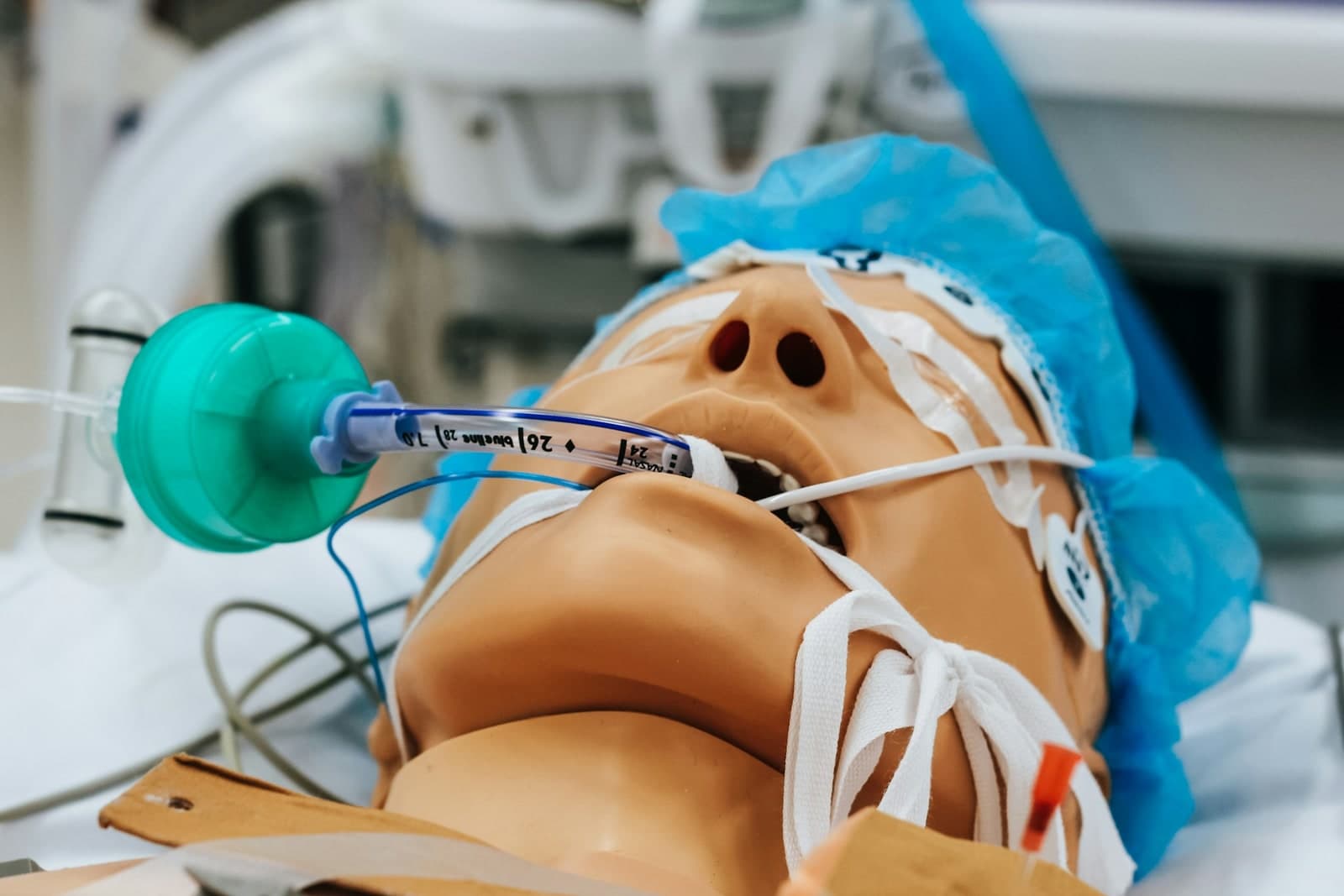 Clinical simulation mannequin used for safety and training.